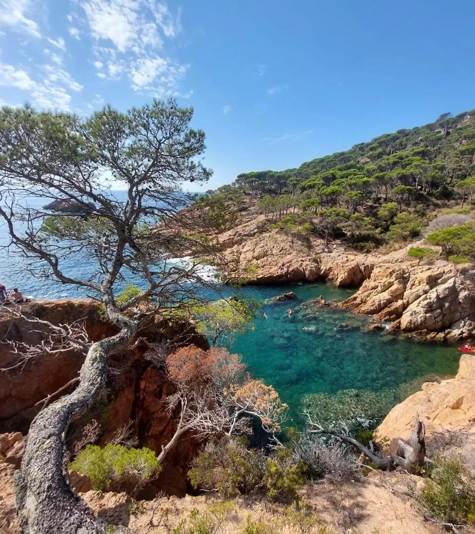 Apartment Begur Sa Riera, Vue Mer, Appartement De Charme Pour 4 Personnes A 5Mn De La Plage