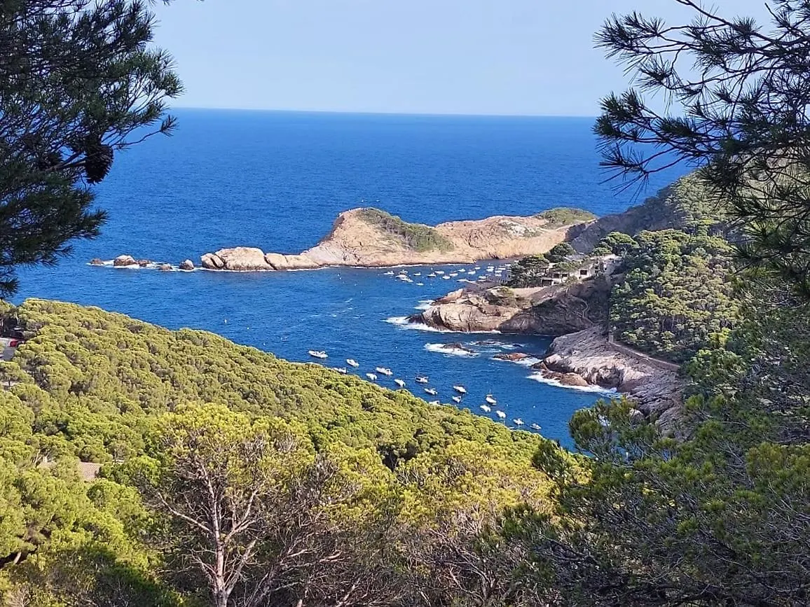 Begur Sa Riera, Vue Mer, Appartement De Charme Pour 4 Personnes A 5Mn De La Plage Apartment