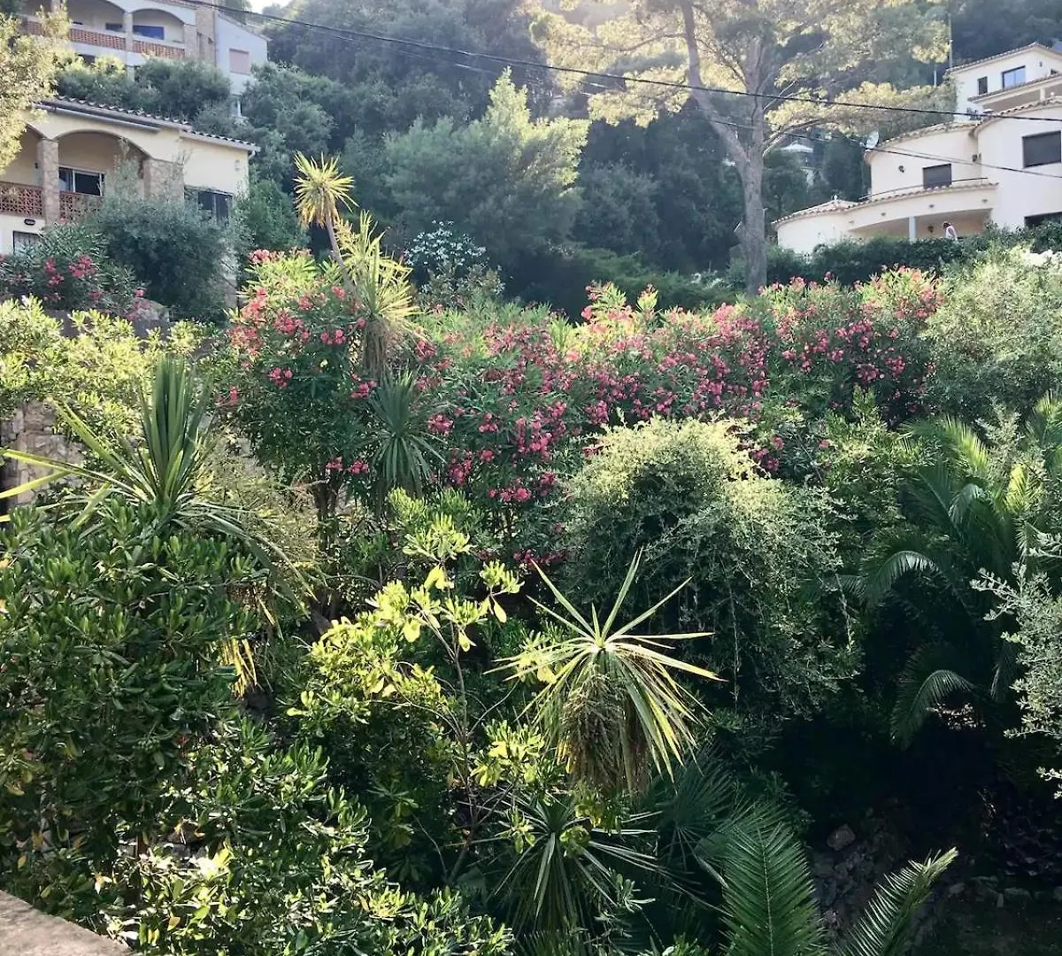 Begur Sa Riera, Vue Mer, Appartement De Charme Pour 4 Personnes A 5Mn De La Plage