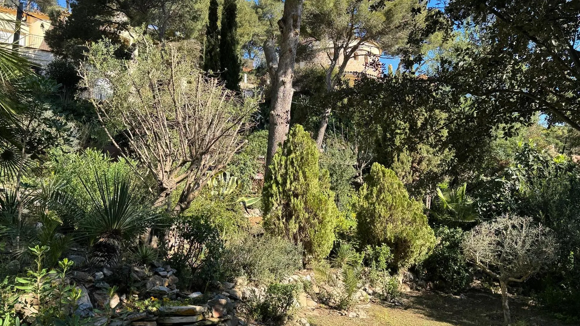 Begur Sa Riera, Vue Mer, Appartement De Charme Pour 4 Personnes A 5Mn De La Plage Apartment